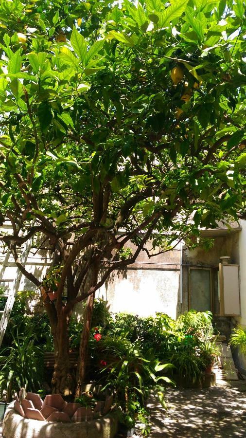 那不勒斯Santa Maria Maddalena住宿加早餐旅馆 外观 照片